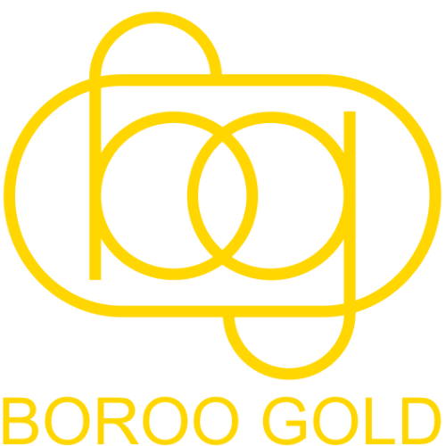Partner logo - Boroo Gold